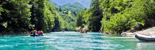 Река Тара (Черногория)